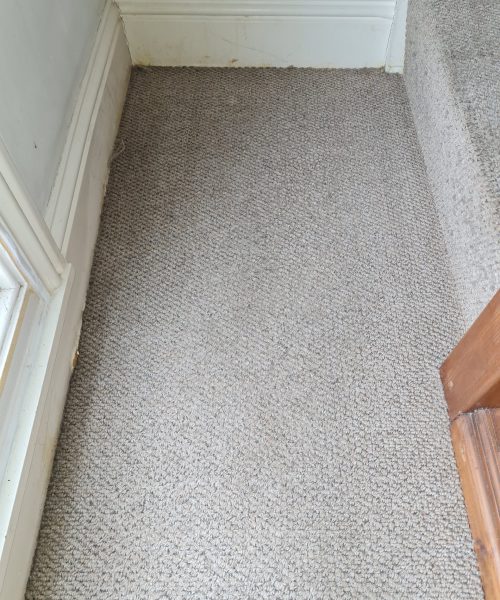 after hall carpet cleaning - Skyline Cleaning